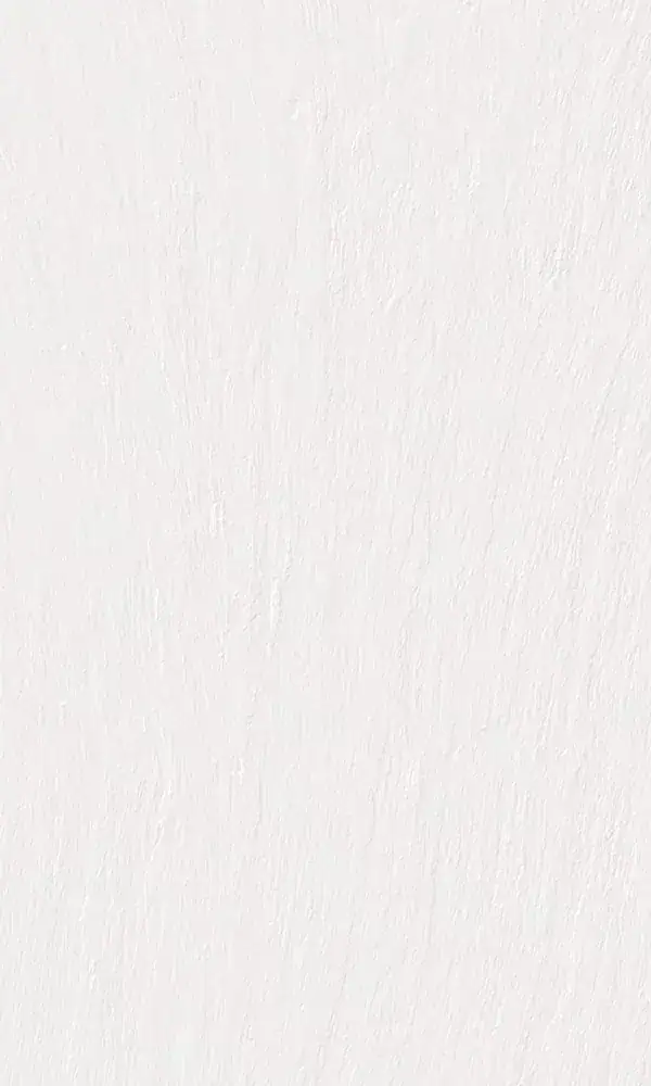 Encimera Laminam Ardesia Bianco