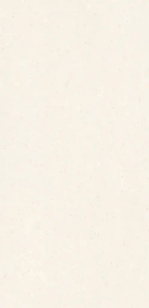 Encimera Neolith Pale Fossil